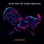 ĐÁ GÀ TRỰC TIẾP THOMO HÔM NAY