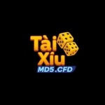 Taixiumd5 cfd