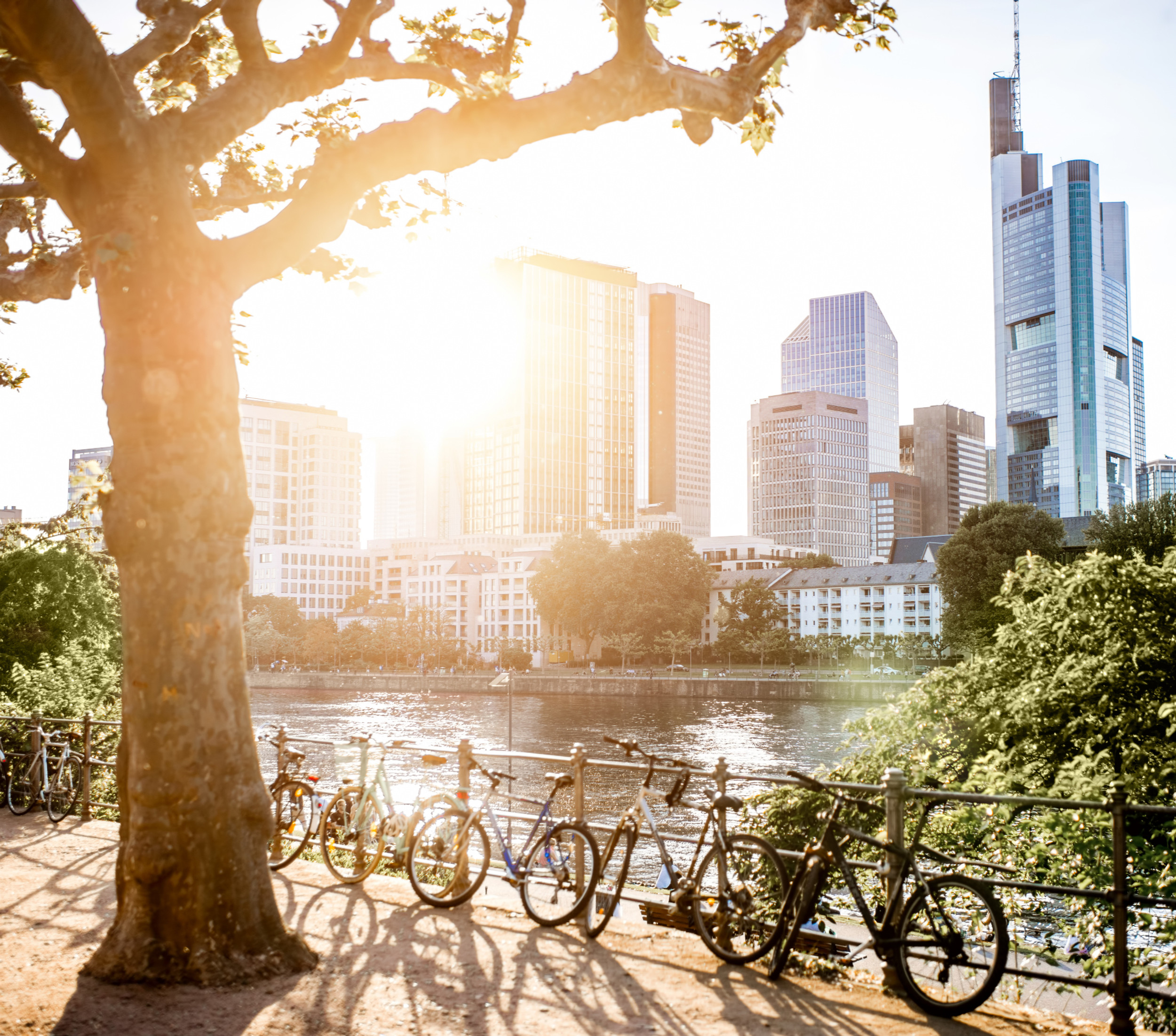 ESG Brand & Leadership Communications | NKA ESG Agency Sydney