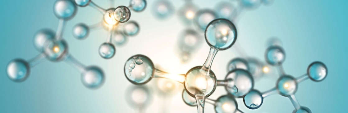 Panacea Chem Specialities LLP