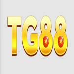 tg88d com