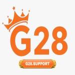 G28 support
