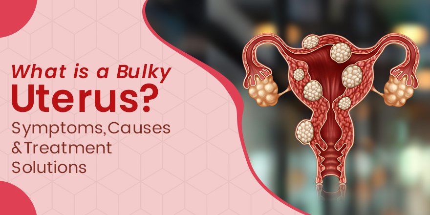 IVF Doctor in Delhi NCR: Fertility Specialist Near Me