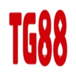 Nhà cái TG88