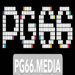 PG66 media