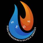 Inspection services in libya