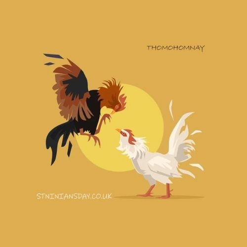 ĐÁ GÀ TRỰC TIẾP