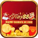 HAY88 teamala