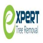 Expert Tree Removal