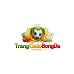 Trang Cá Độ Bóng Đá