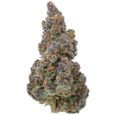 Rainbow Rose THCa Flower Profile Picture