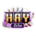 haywin 2haywinnetwork