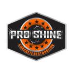 Pro Shine Concrete Restoration