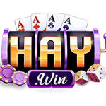 HAYWIN Nhà cái casino