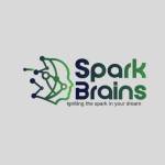 SparkBrains Company