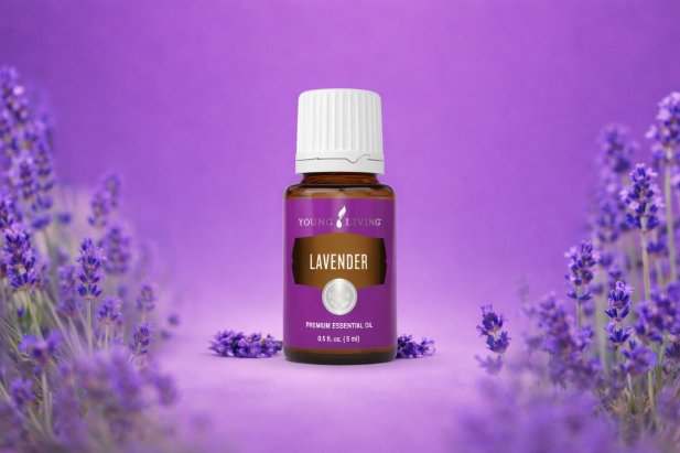 Lavender Essential Oil: An Easy and Natural Way to Sleep Better and Care for Your Skin Article - ArticleTed -  News and Articles