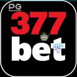 377bet com