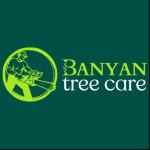 Banyan Tree Removal