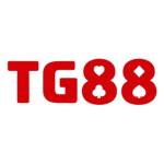 tg884 com