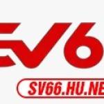 Sv66 hu net