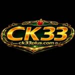 CK33 33