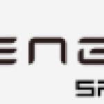 Engwe España