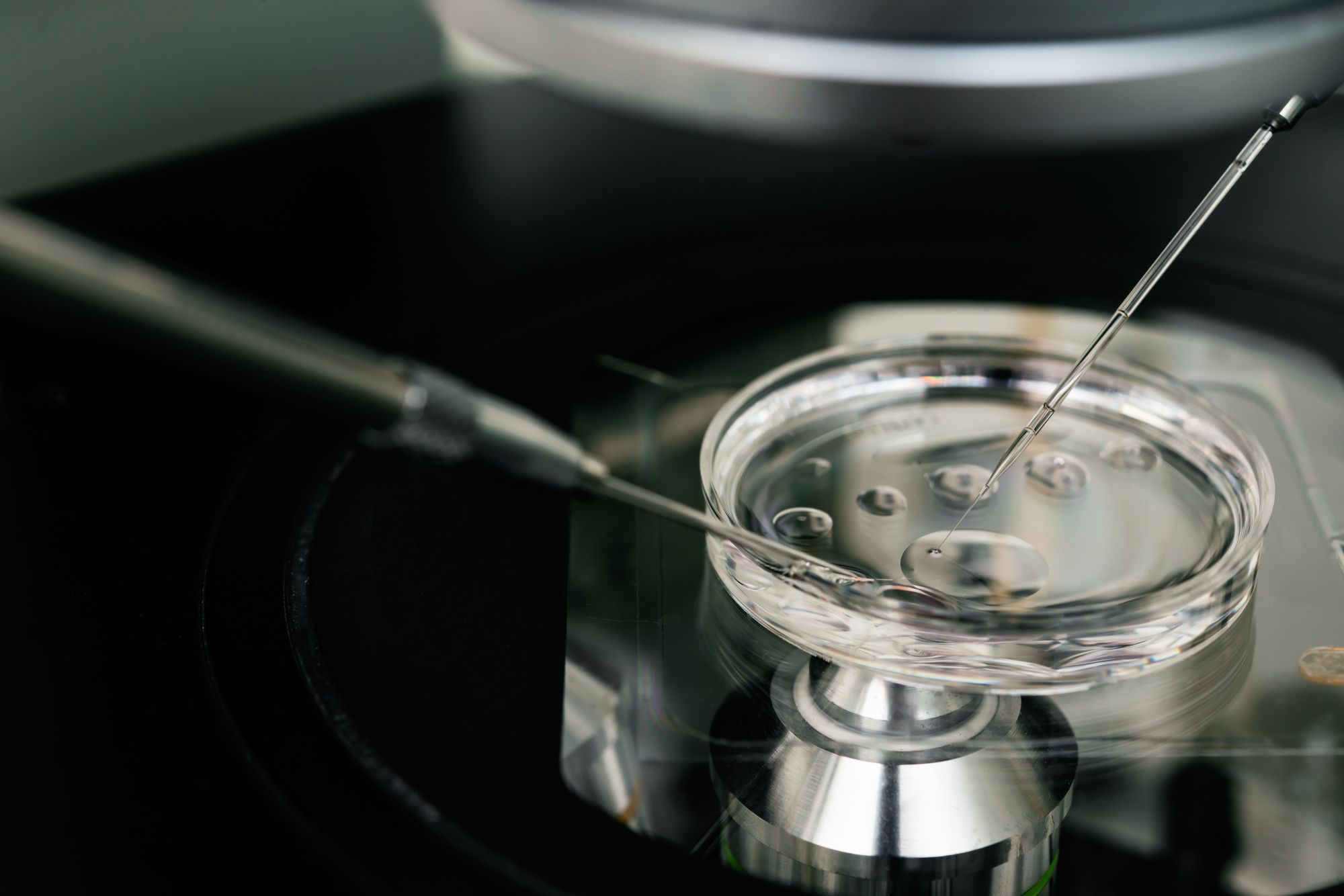 In Vitro Fertilization (IVF) Treatment in Houston Texas