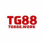 Tg888 work