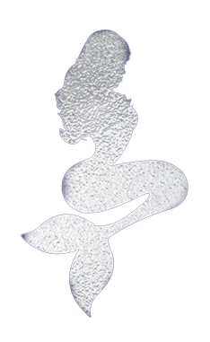 Laval Massage | Massages érotiques Montréal | Nuru Playground
