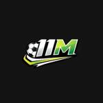 11M