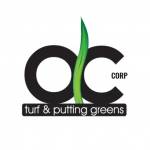 Synthetic Grass