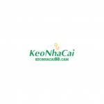 Keonhacai88 cam