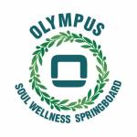 Olympus Soul Wellness Springboard