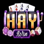 Haywin Nền tảng game trực tuyến được nh