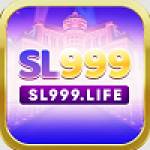 Sl999 tech
