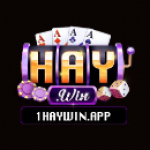 1haywin app
