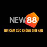 NEW88 Cổng Giải Trí Trực Tuyến Hiện Đạ