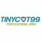 Tinycat99 Giải Trí Online