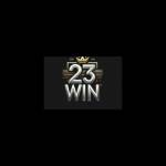 23win vision