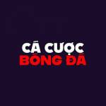 Top10trangcacuocbongda com