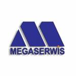 Centrum Odzyskiwania Danych Mega Serwis