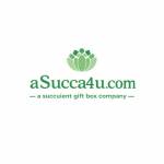 Succulent Arrangements