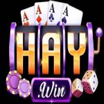 Haywinapp com