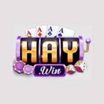 Haywin haywininnet