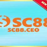 sc88 ceo