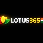 Lotus365n Lotus365n