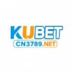 cn3789 netvn