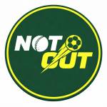 NOT OUT