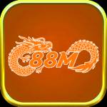 88M info