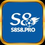 S8 S8
